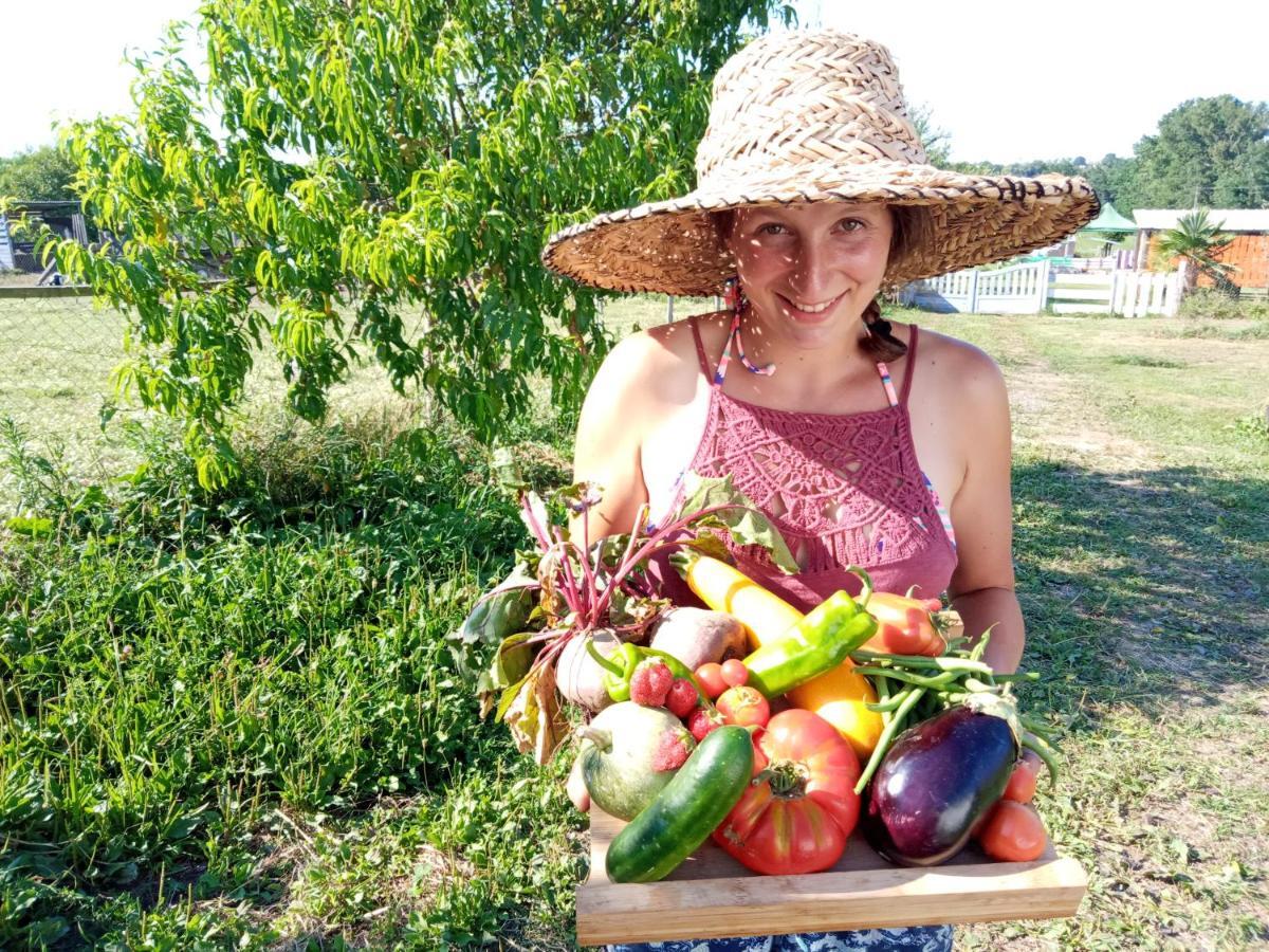 La Petite Ferme De Pouillon - Parc Animalier - Aire De Loisirs Bed and Breakfast Εξωτερικό φωτογραφία