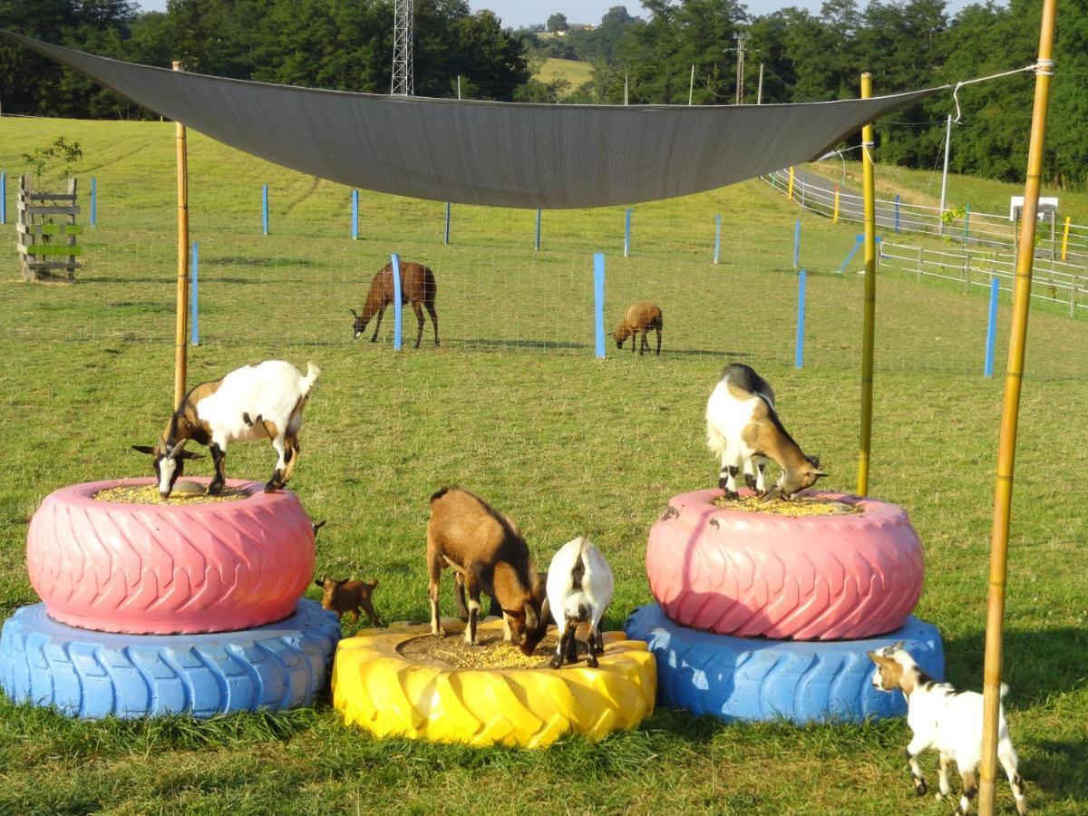 La Petite Ferme De Pouillon - Parc Animalier - Aire De Loisirs Bed and Breakfast Εξωτερικό φωτογραφία